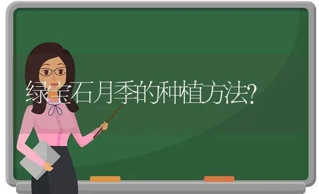 绿宝石月季的种植方法？ | 绿植常识