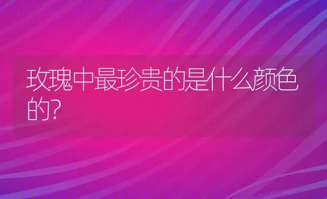 玫瑰中最珍贵的是什么颜色的？ | 绿植常识