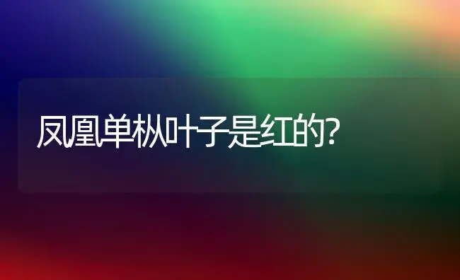 凤凰单枞叶子是红的？ | 多肉养殖