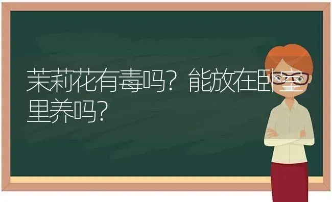 茉莉花有毒吗？能放在卧室里养吗？ | 绿植常识