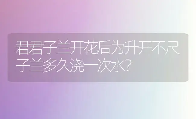 君君子兰开花后为升开不尺子兰多久浇一次水？ | 绿植常识