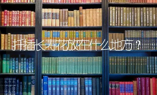 扦插长寿花放在什么地方？ | 多肉养殖