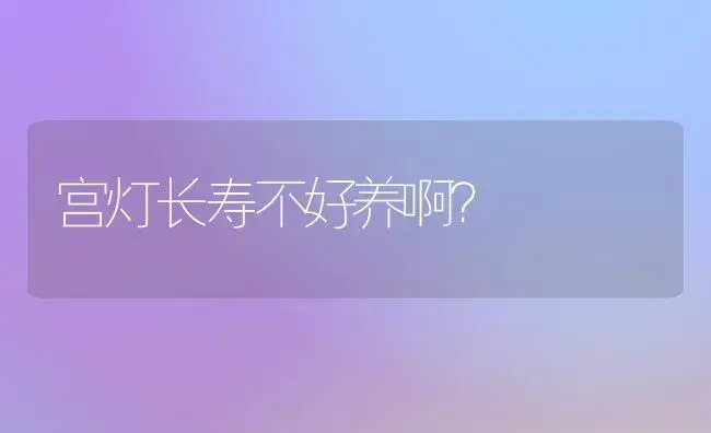 宫灯长寿不好养啊？ | 多肉养殖