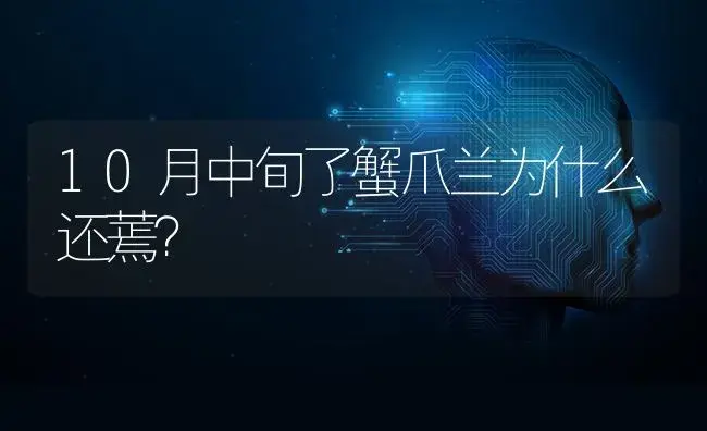 10月中旬了蟹爪兰为什么还蔫？ | 多肉养殖