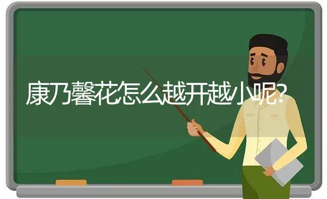 康乃馨花怎么越开越小呢？ | 绿植常识