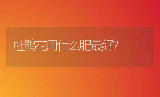 杜鹃花用什么肥最好？ | 绿植常识