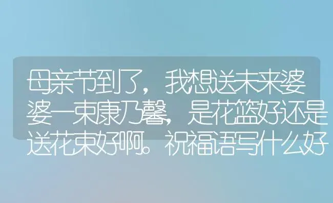 母亲节到了，我想送未来婆婆一束康乃馨，是花篮好还是送花束好啊。祝福语写什么好啊？ | 绿植常识