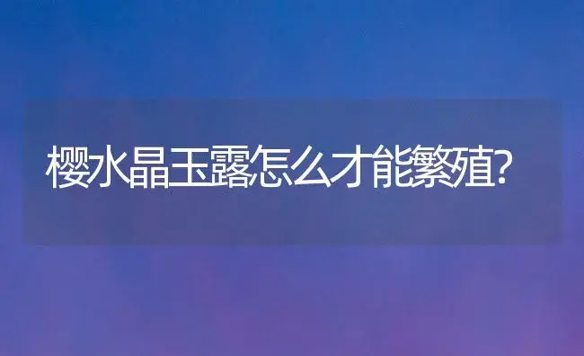 樱水晶玉露怎么才能繁殖？ | 多肉养殖