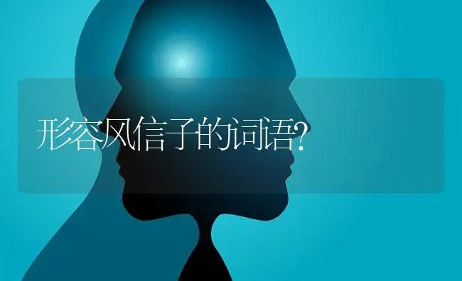 形容风信子的词语？ | 绿植常识