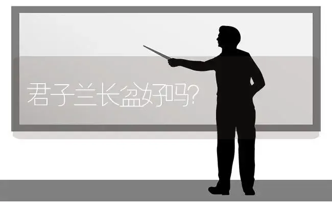 君子兰长盆好吗？ | 绿植常识