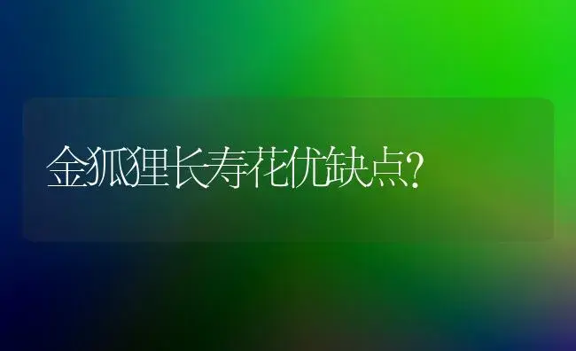 金狐狸长寿花优缺点？ | 多肉养殖