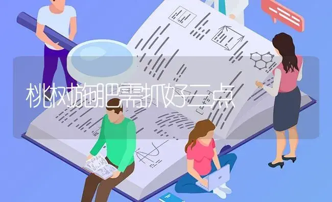 桃树施肥需抓好三点 | 果木种植