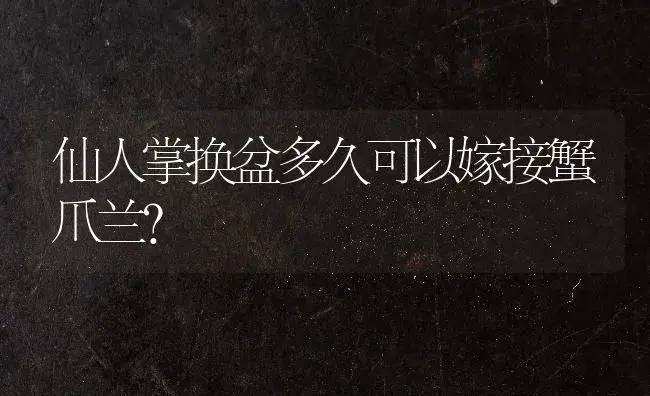 仙人掌换盆多久可以嫁接蟹爪兰？ | 多肉养殖