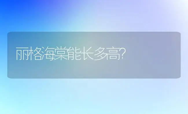 丽格海棠能长多高？ | 绿植常识