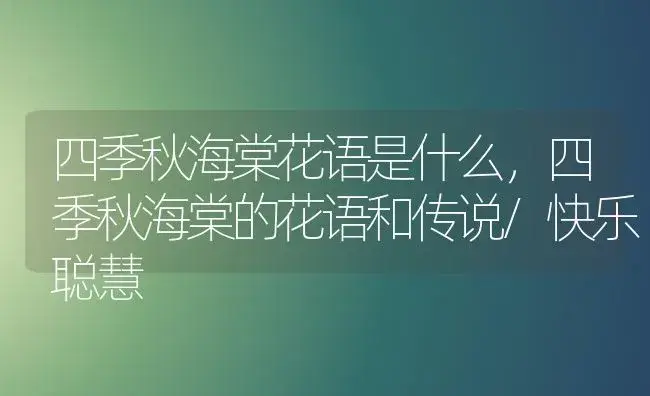 四季秋海棠花语是什么，四季秋海棠的花语和传说/快乐聪慧 | 绿植寓意