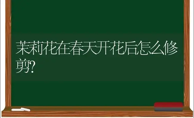 茉莉花在春天开花后怎么修剪？ | 绿植常识