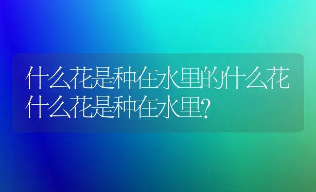 什么花是种在水里的什么花什么花是种在水里？ | 绿植常识