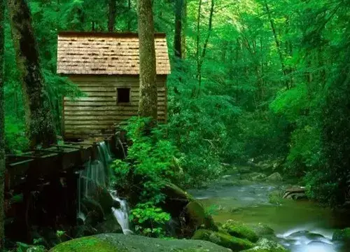 微型盆景 | 飞鸟鱼多肉植物微观盆景