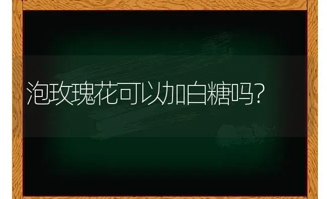 泡玫瑰花可以加白糖吗？ | 绿植常识