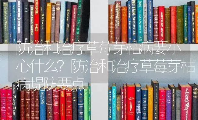 防治和治疗草莓芽枯病要小心什么？防治和治疗草莓芽枯病堤防要点 | 果木种植