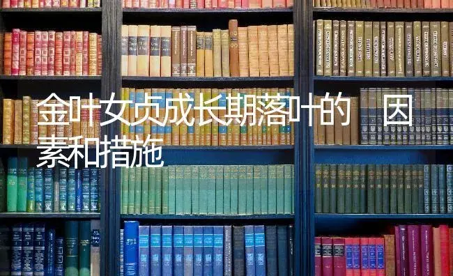 金叶女贞成长期落叶的 因素和措施 | 特种种植