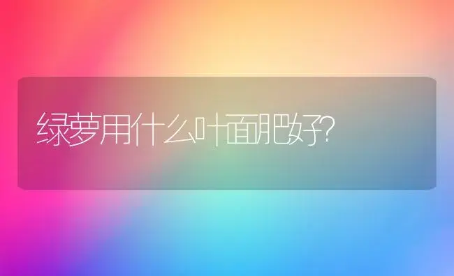 绿萝用什么叶面肥好？ | 家庭养花