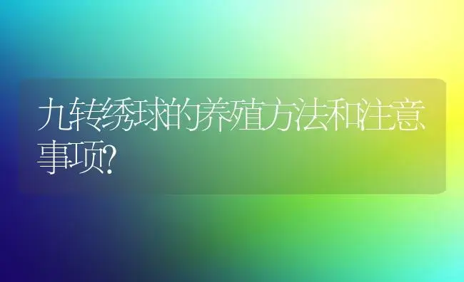 九转绣球的养殖方法和注意事项？ | 绿植常识