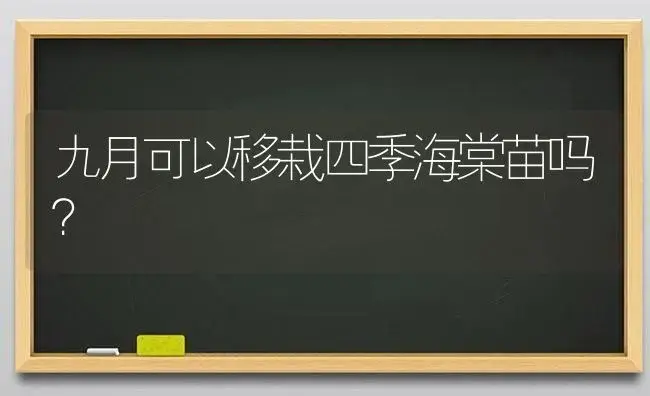 九月可以移栽四季海棠苗吗？ | 绿植常识