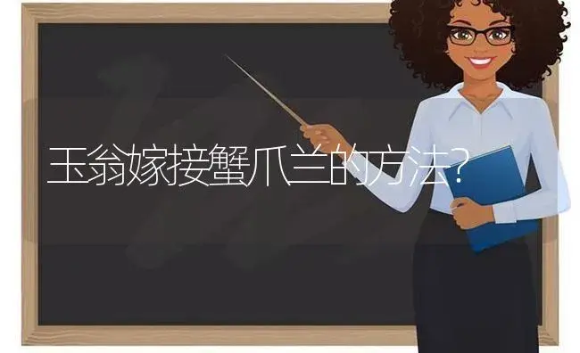 玉翁嫁接蟹爪兰的方法？ | 多肉养殖