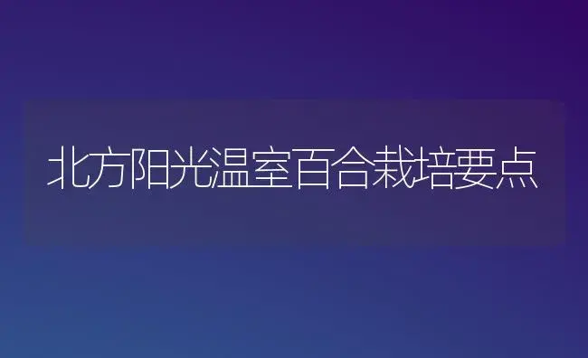 北方阳光温室百合栽培要点 | 家庭养花