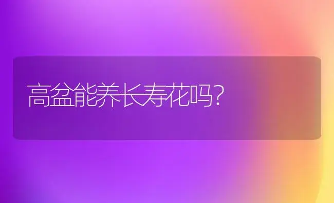 高盆能养长寿花吗？ | 多肉养殖