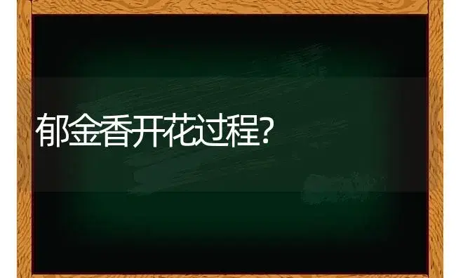 郁金香开花过程？ | 绿植常识