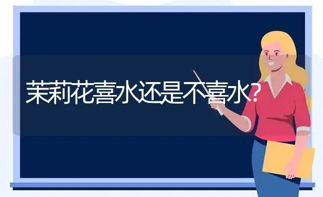 中华木本白色本绣球的养殖方法？ | 绿植常识