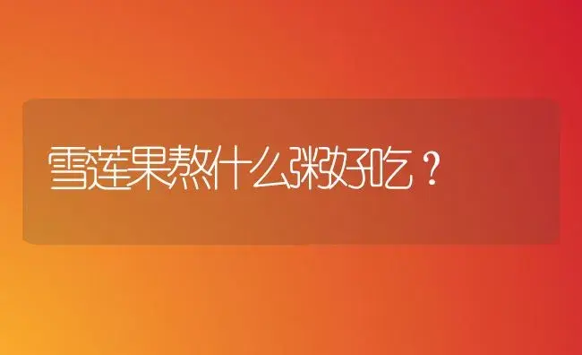 雪莲果熬什么粥好吃？ | 多肉养殖