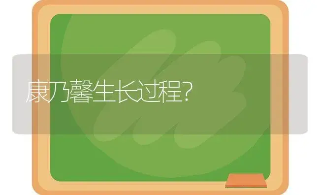 康乃馨生长过程？ | 绿植常识