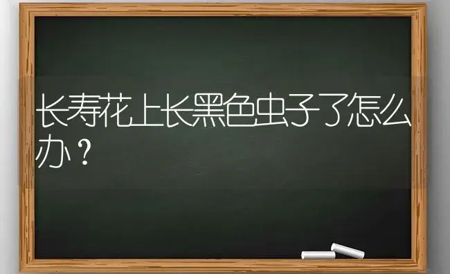 长寿花上长黑色虫子了怎么办？ | 多肉养殖