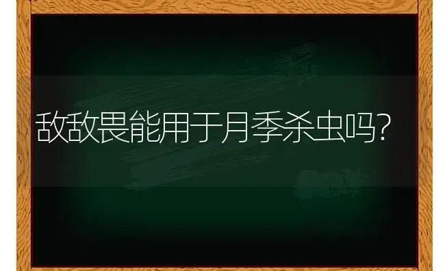 敌敌畏能用于月季杀虫吗？ | 绿植常识