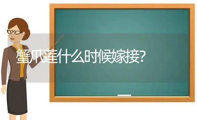 蟹爪莲什么时候嫁接？ | 多肉养殖