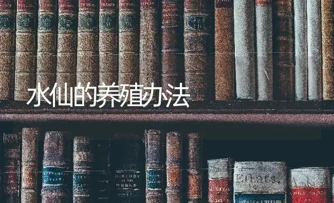 水仙的养殖办法 | 特种种植