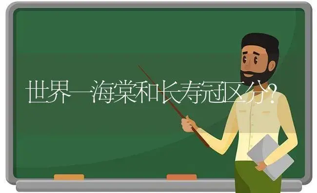 世界一海棠和长寿冠区分？ | 多肉养殖