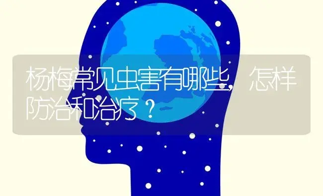 杨梅常见虫害有哪些，怎样防治和治疗？ | 果木种植