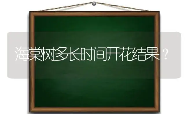 海棠树多长时间开花结果？ | 绿植常识