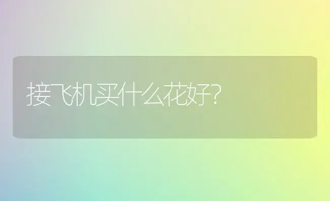 接飞机买什么花好？ | 绿植常识