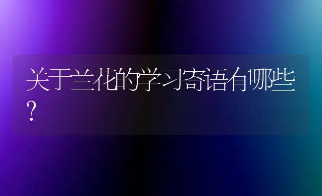 关于兰花的学习寄语有哪些？ | 绿植常识