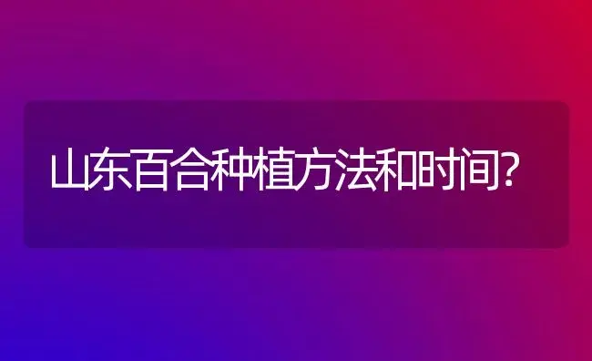 杨梅红杜鹃一年开几次？ | 绿植常识