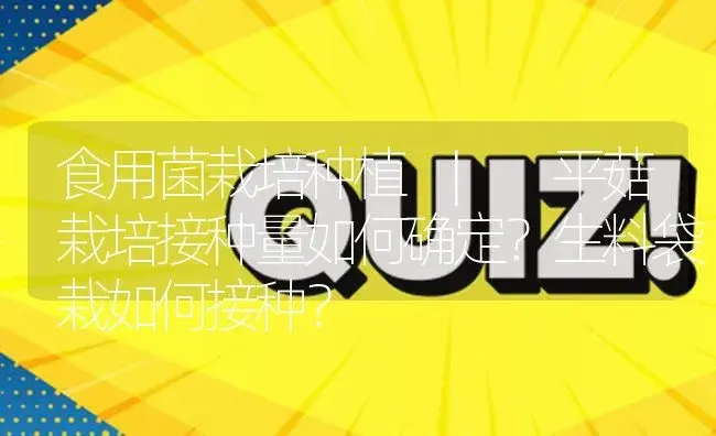 平菇栽培接种量如何确定？生料袋栽如何接种？ | 菌菇种植