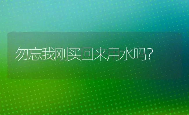 勿忘我刚买回来用水吗？ | 绿植常识