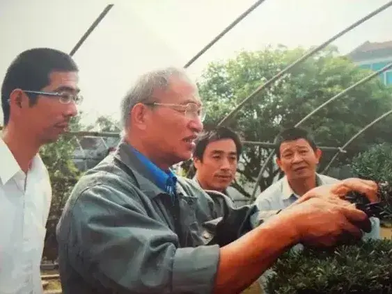 苏派盆景 | 董浜镇苏派盆景技艺入选江苏省非物质文化遗产名录