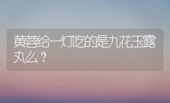 黄蓉给一灯吃的是九花玉露丸么？ | 多肉养殖