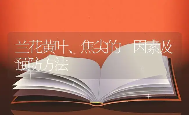 兰花黄叶、焦尖的 因素及预防方法 | 特种种植